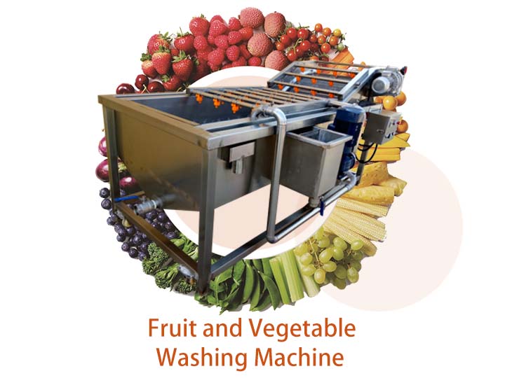 fruit washer
