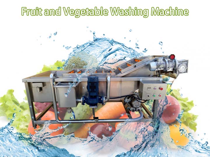 vegetable and fruit washing machine (3)