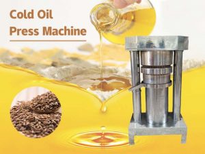 cold oil press machine