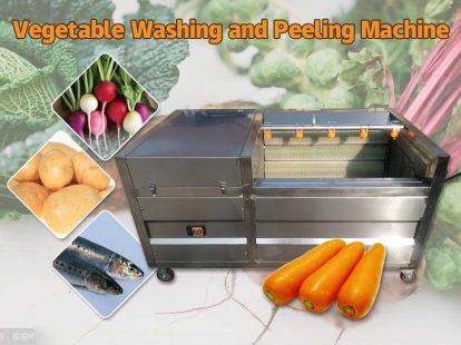 vegetable washing machine