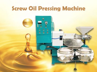 screw oil pressing machine