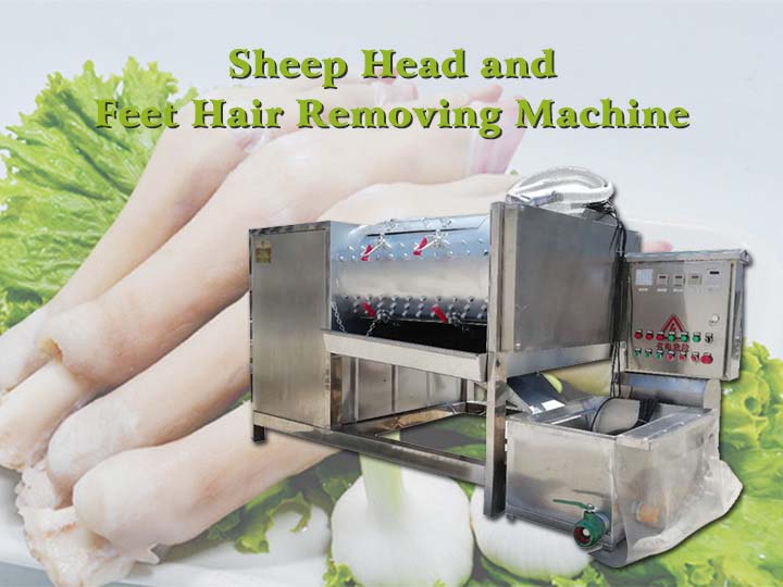 sheep head and feet hair removing machine
